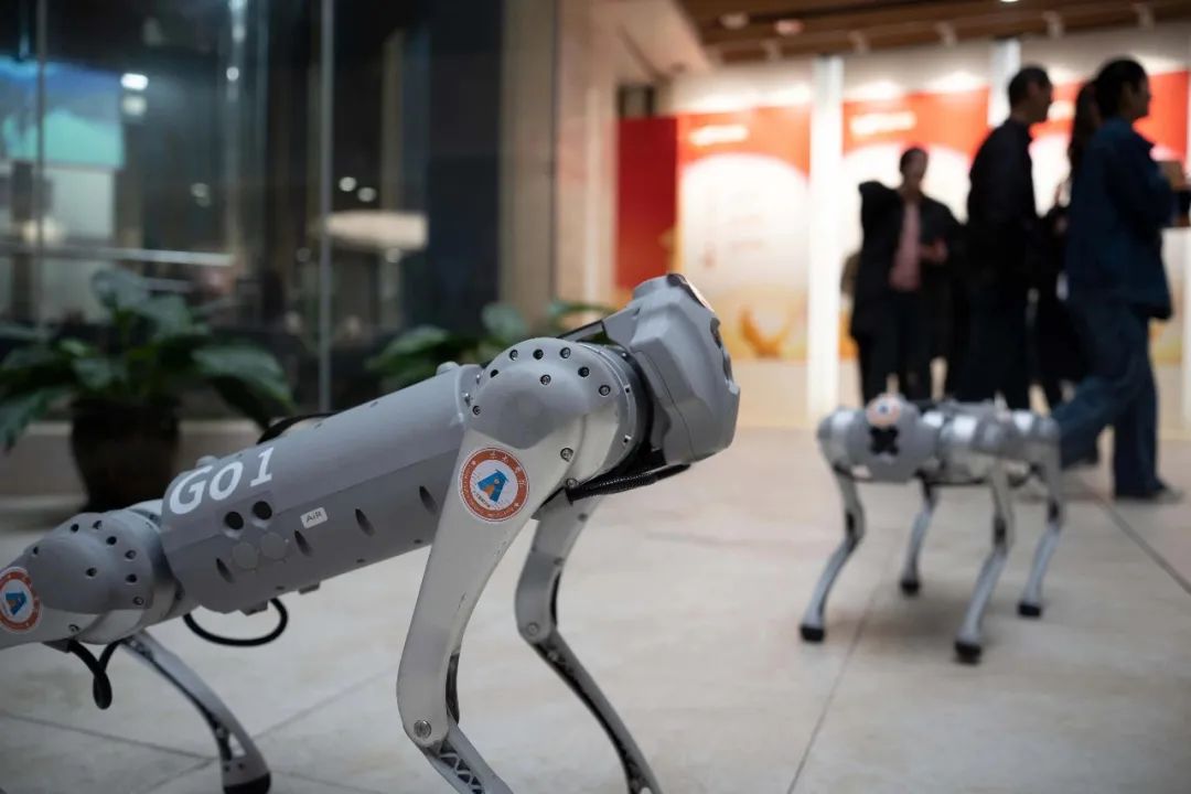 168016623375437.jpg 6.jpg