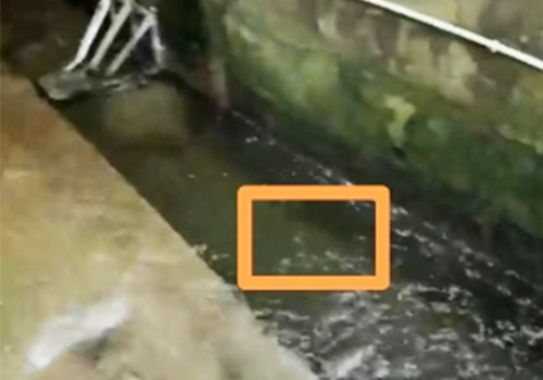 超聲波多普勒流速流量計 超聲波多普勒流速流量計