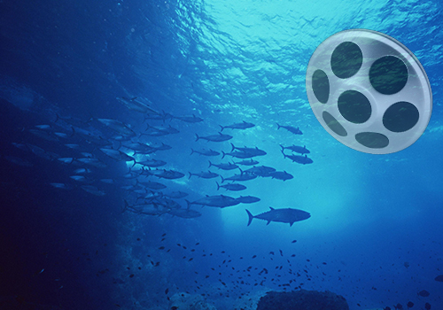 網箱點魚器 網箱點魚器